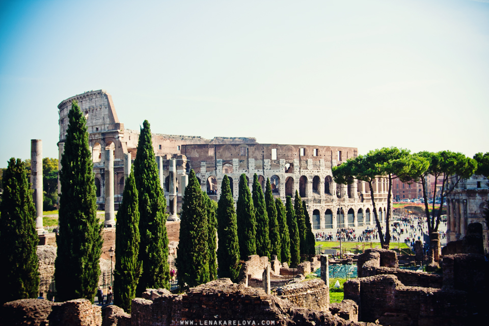Coliseum, views from Forum,Rome