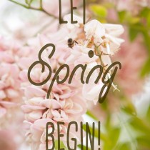 Lets spring begin
