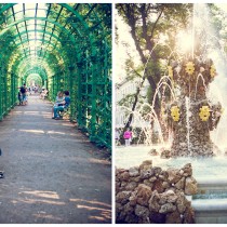 Precioso jardin de verano, un lugar perfecto para un paseo en San Petersburgo. Foto Lena Karelova