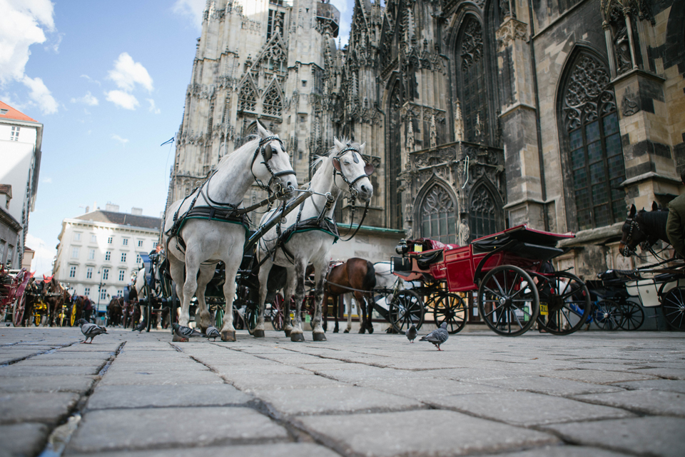 Vienna city center and parks - Lena Karelova wedding photographer in Barcelona and avalaible in Europe