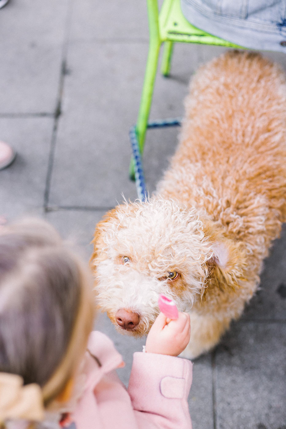 Barcelona Family Photographer | Lena Karelova Photography